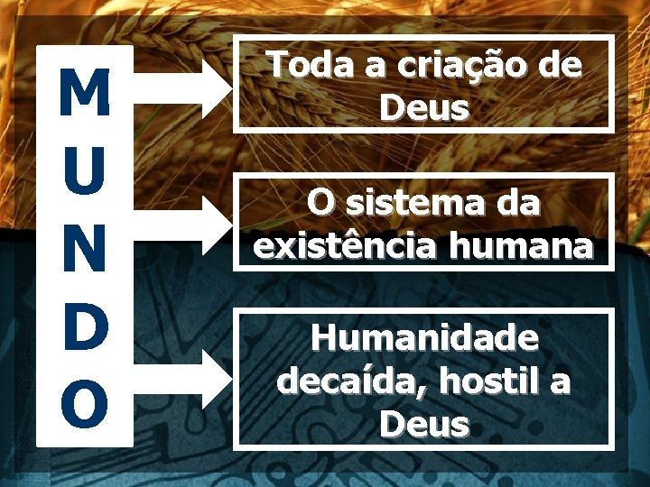 M U N D O Toda a criação de Deus O sistema da existência