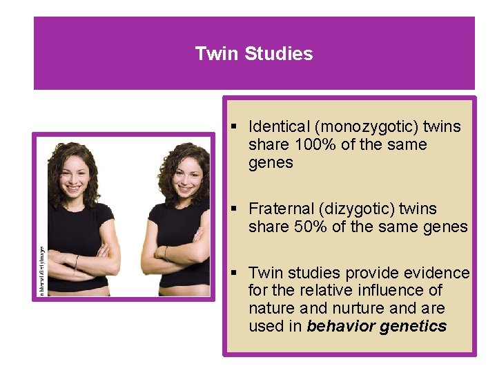 Twin Studies § Identical (monozygotic) twins share 100% of the same genes § Fraternal