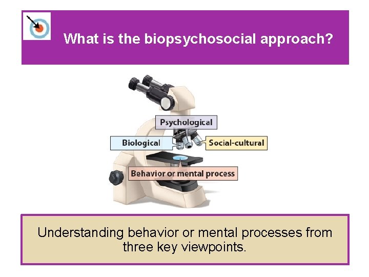 What is the biopsychosocial approach? Understanding behavior or mental processes from three key viewpoints.