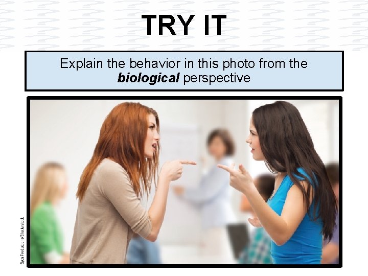 TRY IT Explain the behavior in this photo from the biological perspective 