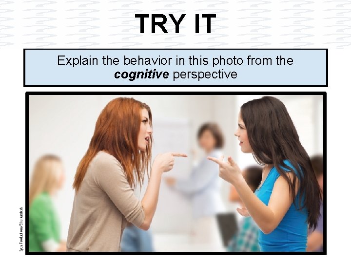 TRY IT Explain the behavior in this photo from the cognitive perspective 