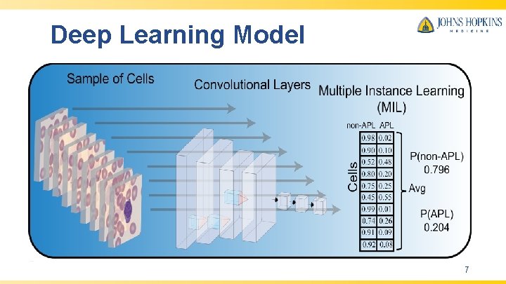 Deep Learning Model 7 