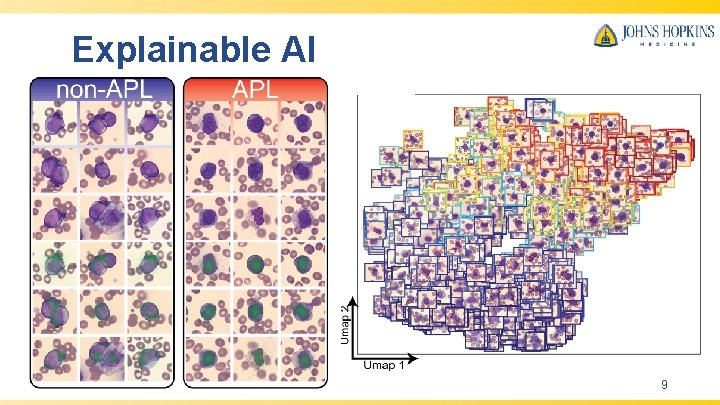 Explainable AI 9 