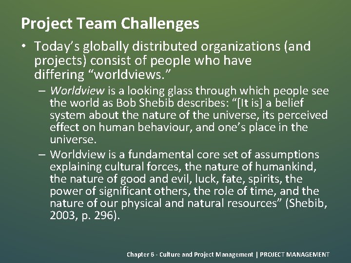 Project Team Challenges • Today’s globally distributed organizations (and projects) consist of people who