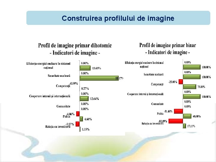 Construirea profilului de imagine 