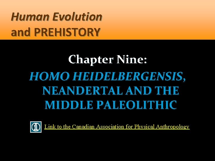 Human Evolution and PREHISTORY Chapter Nine: HOMO HEIDELBERGENSIS, NEANDERTAL AND THE MIDDLE PALEOLITHIC Link