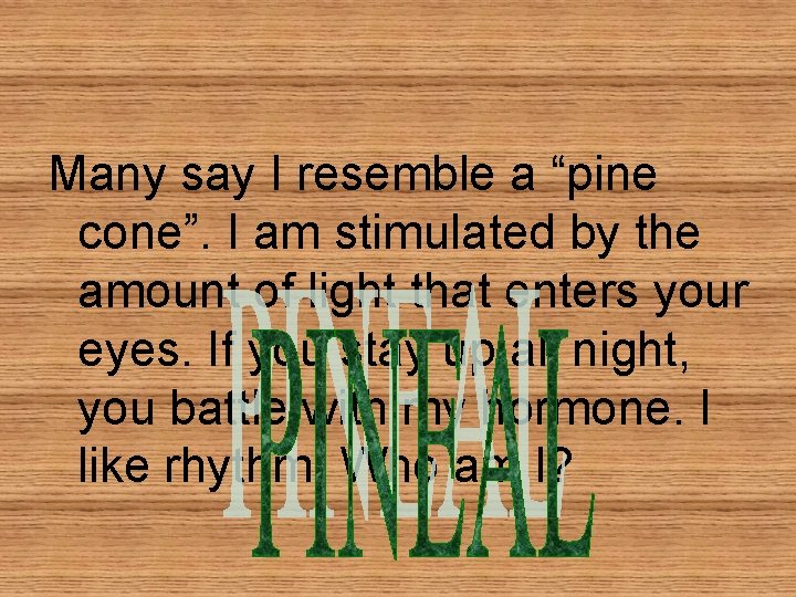 Many say I resemble a “pine cone”. I am stimulated by the amount of Many say I resemble a “pine cone”. I am stimulated by the amount of