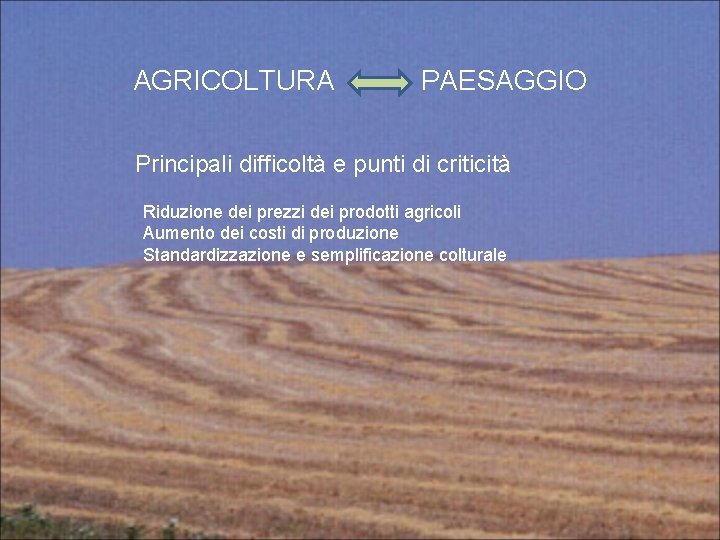 AGRICOLTURA PAESAGGIO Principali difficoltà e punti di criticità Riduzione dei prezzi dei prodotti agricoli