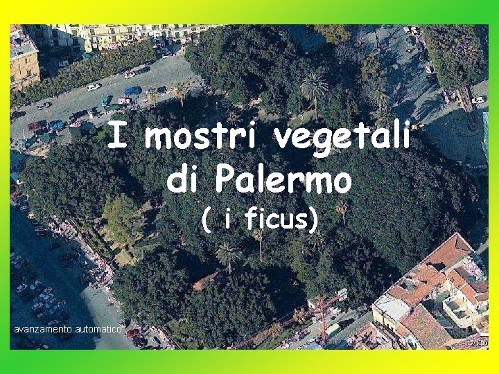I mostri vegetali di Palermo ( i ficus) avanzamento automatico 