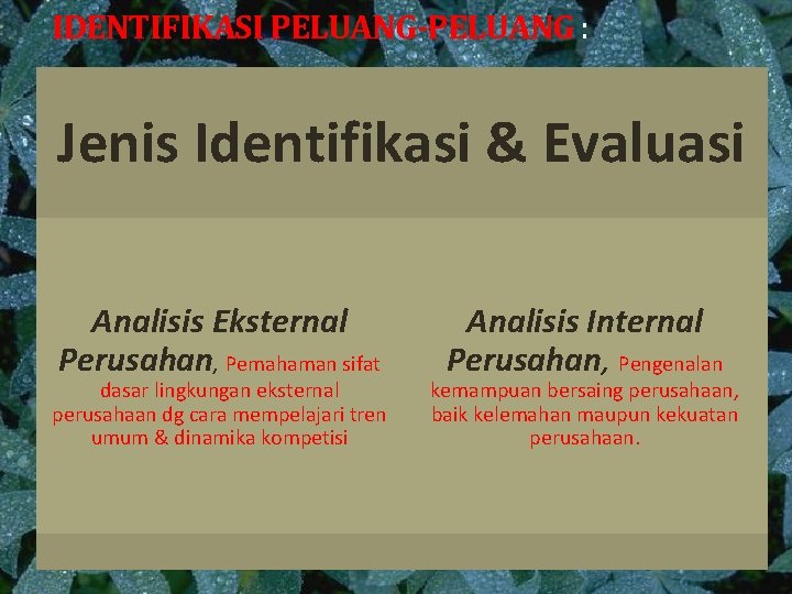 IDENTIFIKASI PELUANG-PELUANG : Jenis Identifikasi & Evaluasi Analisis Eksternal Perusahan, Pemahaman sifat dasar lingkungan