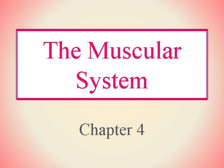 The Muscular System Chapter 4 