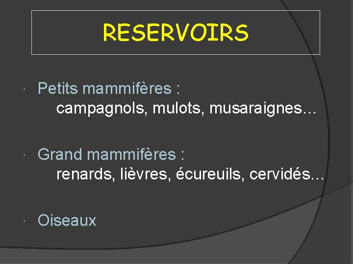 RESERVOIRS Petits mammifères : campagnols, mulots, musaraignes… Grand mammifères : renards, lièvres, écureuils, cervidés…