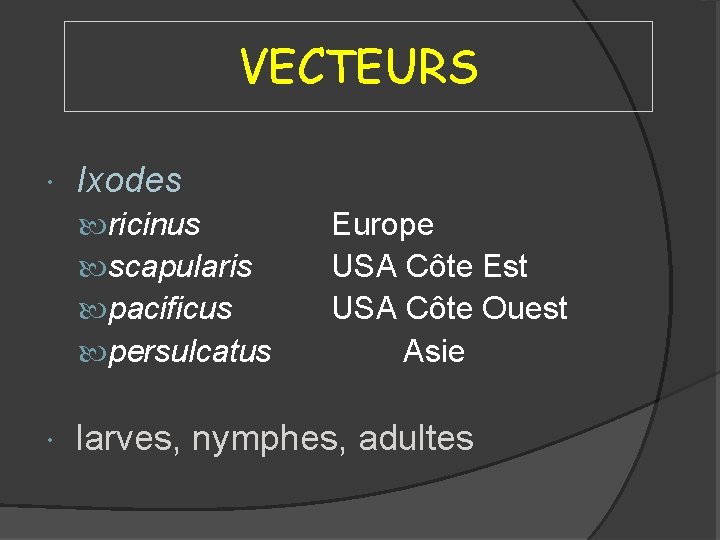 VECTEURS Ixodes ricinus scapularis pacificus persulcatus Europe USA Côte Est USA Côte Ouest Asie