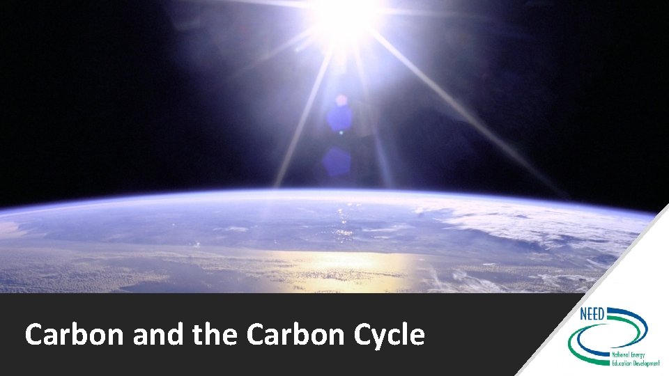 Carbon and the Carbon Cycle 