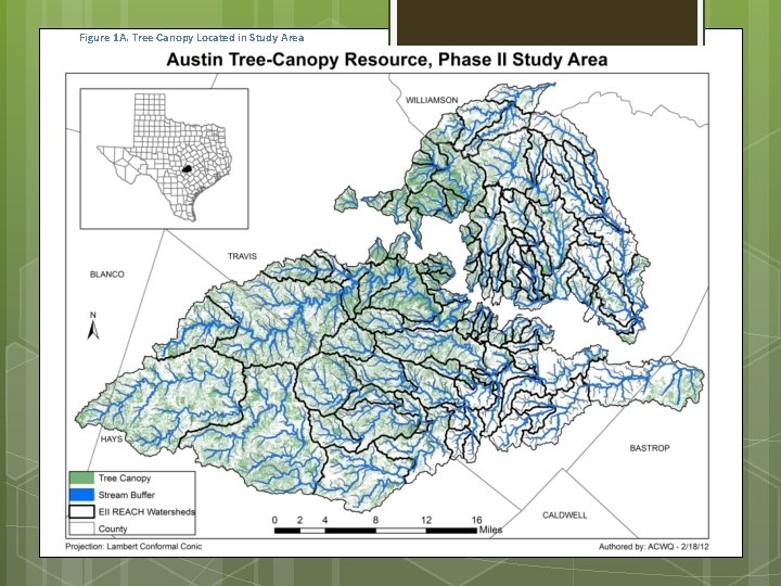Figure 1 A. Tree Canopy Located in Study Area 