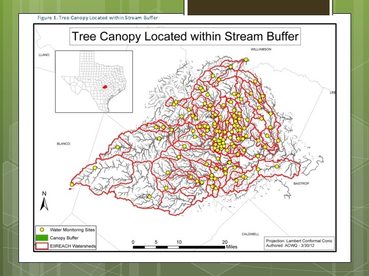 Figure 1. Tree Canopy Located within Stream Buffer 