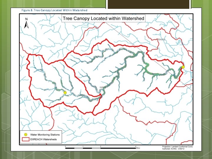 Figure 3. Tree Canopy Located Within Watershed 