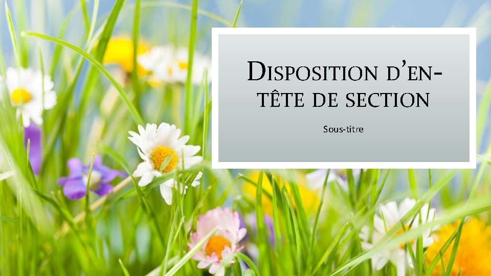 DISPOSITION D’ENTÊTE DE SECTION Sous-titre 