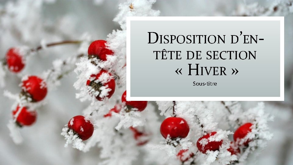 DISPOSITION D’ENTÊTE DE SECTION « HIVER » Sous-titre 