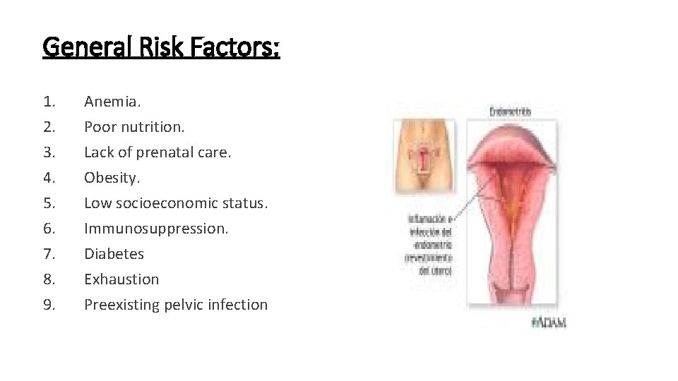 General Risk Factors: 1. 2. 3. 4. 5. 6. 7. 8. 9. Anemia. Poor