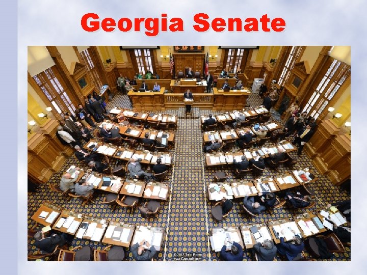 Georgia Senate 