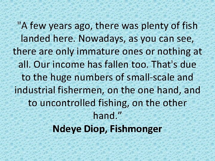 "A few years ago, there was plenty of fish landed here. Nowadays, as you