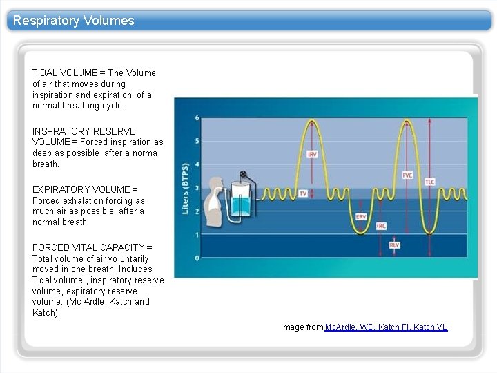 Respiratory Volumes TIDAL VOLUME = The Volume of air that moves during inspiration and