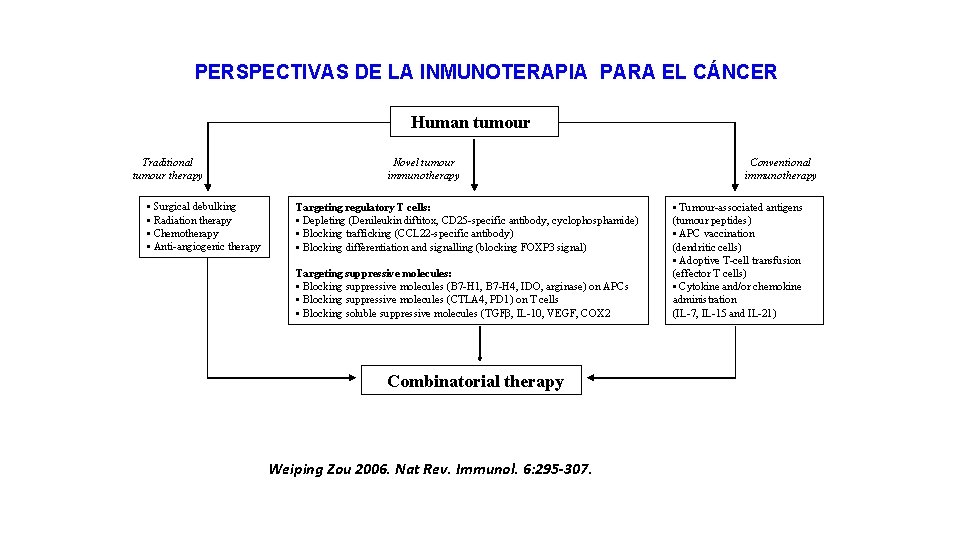 PERSPECTIVAS DE LA INMUNOTERAPIA PARA EL CÁNCER Human tumour Traditional tumour therapy • Surgical