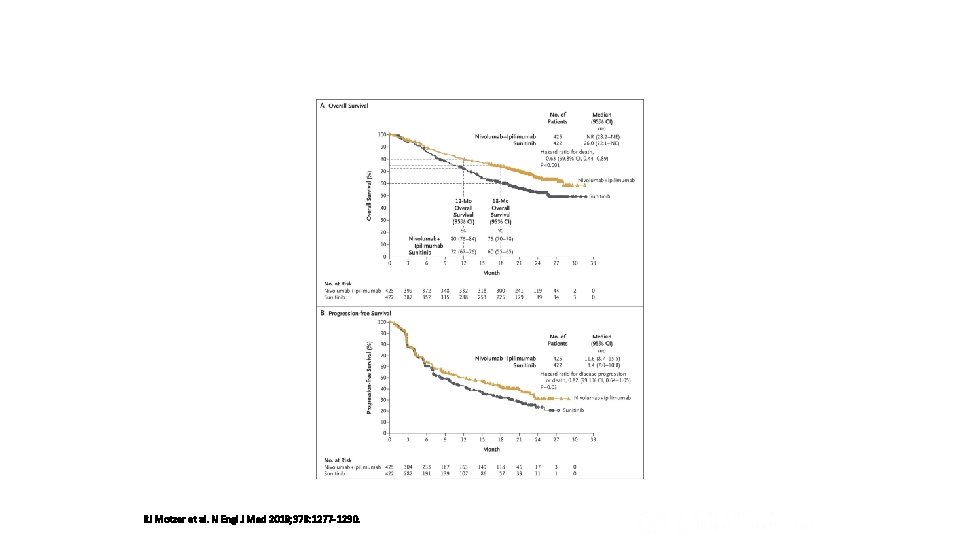 Overall Survival and Progression-free Survival among IMDC Intermediate- and Poor-Risk Patients. RJ Motzer et