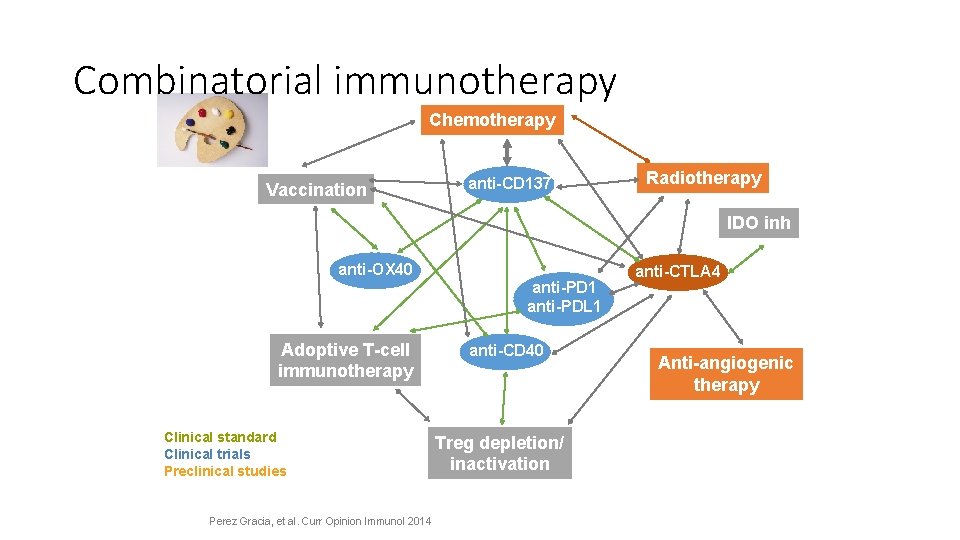 Combinatorial immunotherapy Chemotherapy Vaccination anti-CD 137 Radiotherapy IDO inh anti-OX 40 anti-PD 1 anti-PDL