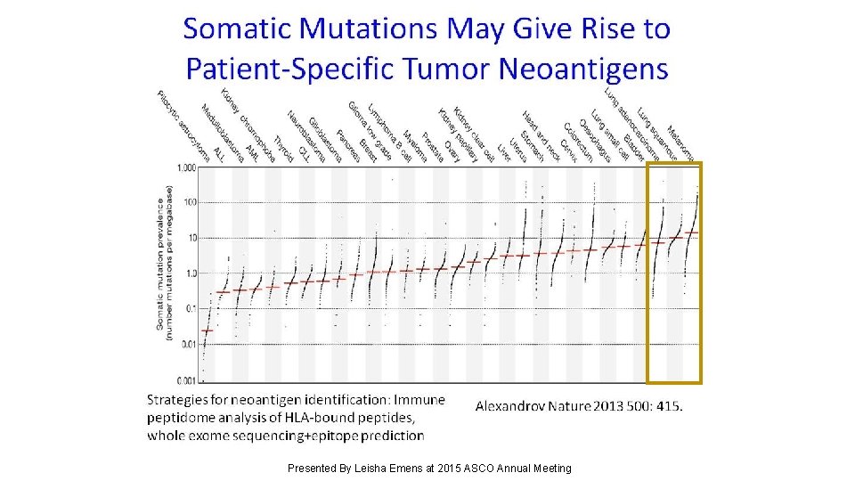 Somatic Mutations May Give Rise to Patient-Specific Tumor Neoantigens Presented By Leisha Emens at