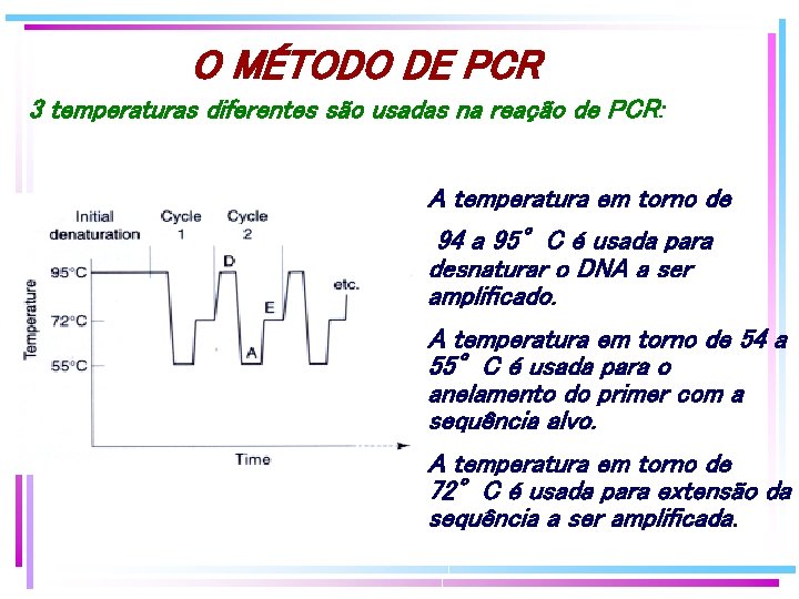 O MÉTODO DE PCR 3 temperaturas diferentes são usadas na reação de PCR: A O MÉTODO DE PCR 3 temperaturas diferentes são usadas na reação de PCR: A