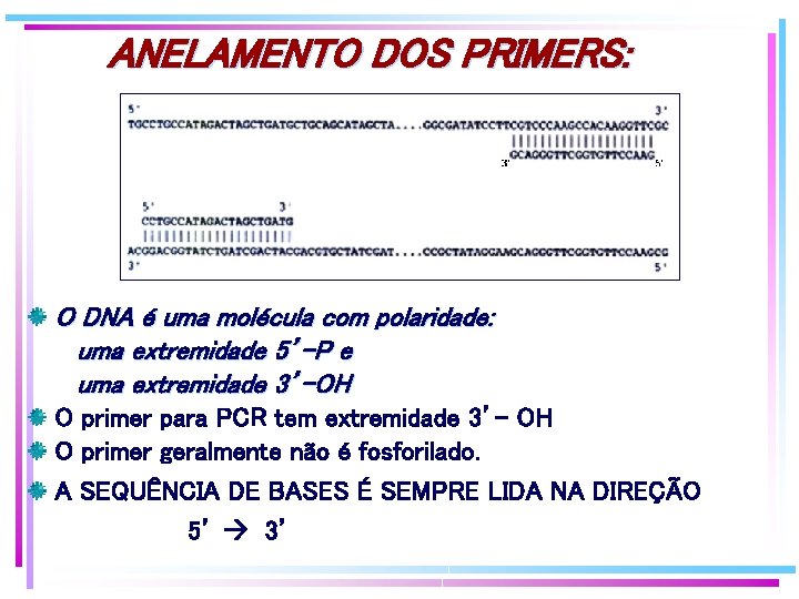 ANELAMENTO DOS PRIMERS: O DNA é uma molécula com polaridade: uma extremidade 5’-P e ANELAMENTO DOS PRIMERS: O DNA é uma molécula com polaridade: uma extremidade 5’-P e