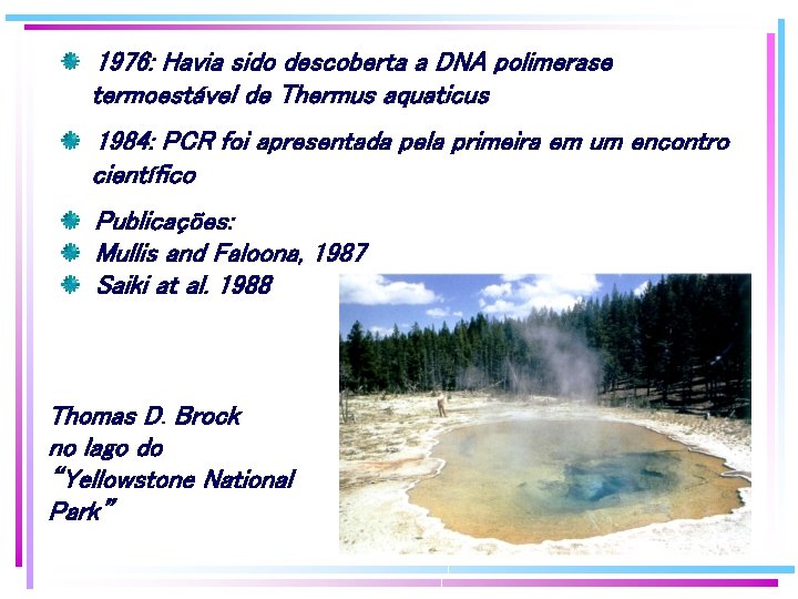 1976: Havia sido descoberta a DNA polimerase termoestável de Thermus aquaticus 1984: PCR foi 1976: Havia sido descoberta a DNA polimerase termoestável de Thermus aquaticus 1984: PCR foi
