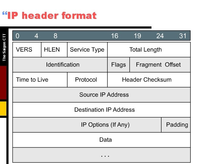 The Saigon CTT }IP header format The Saigon CTT }IP header format