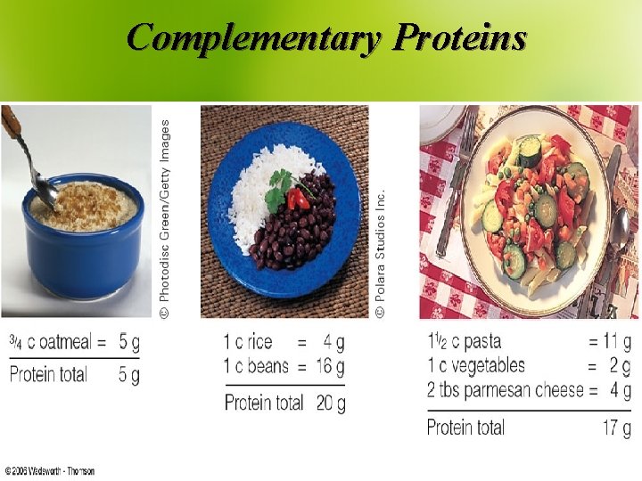 Complementary Proteins 