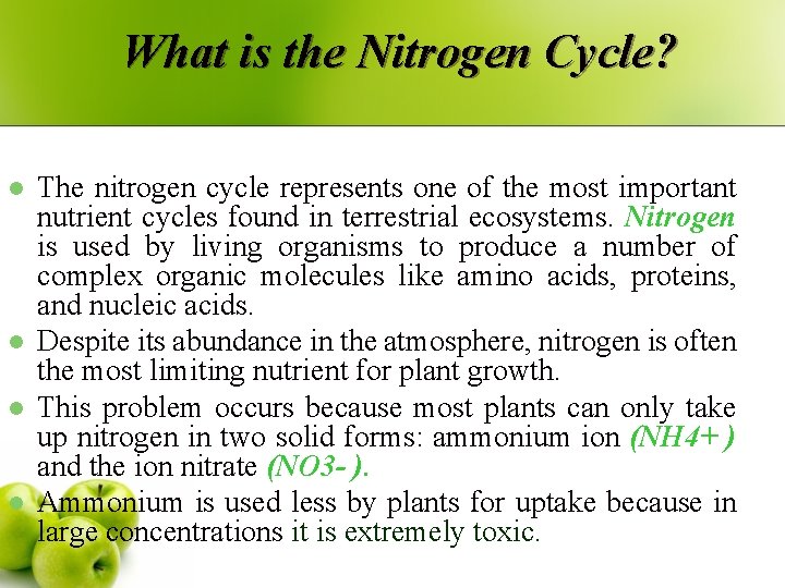 What is the Nitrogen Cycle? l l The nitrogen cycle represents one of the