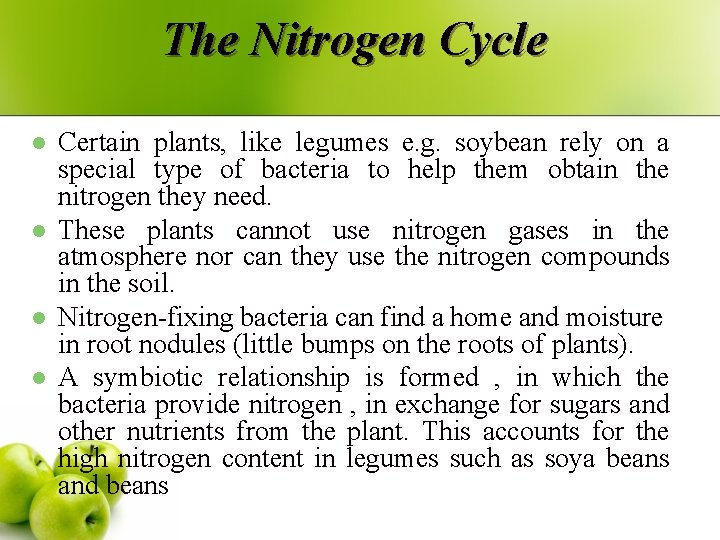 The Nitrogen Cycle l l Certain plants, like legumes e. g. soybean rely on