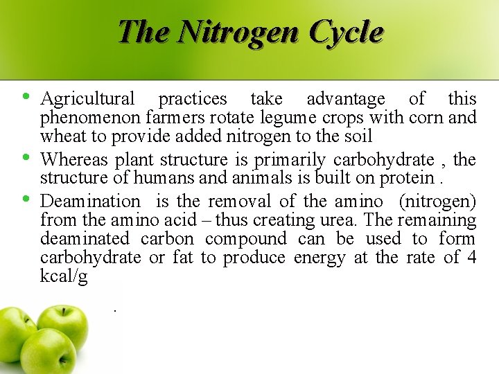 The Nitrogen Cycle • • • Agricultural practices take advantage of this phenomenon farmers
