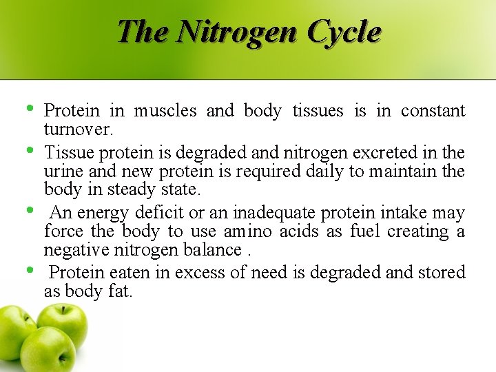 The Nitrogen Cycle • • Protein in muscles and body tissues is in constant