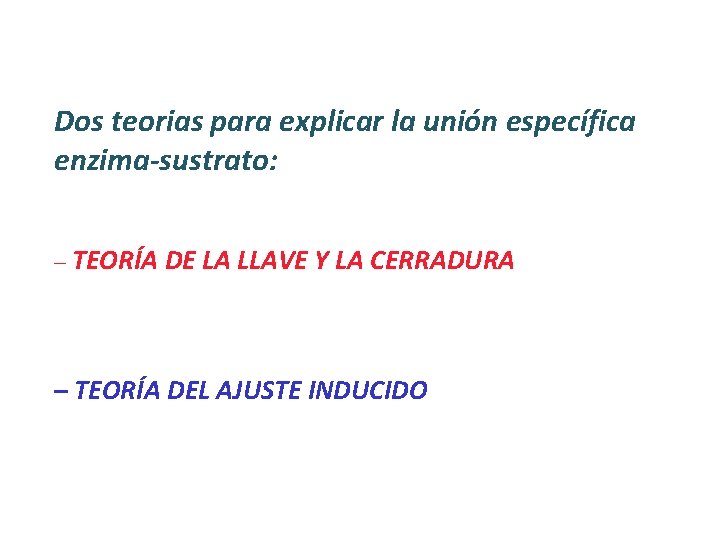 Dos teorias para explicar la unión específica enzima-sustrato: – TEORÍA DE LA LLAVE Y