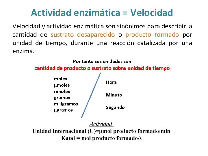 Actividad enzimática = Velocidad y actividad enzimática son sinónimos para describir la cantidad de