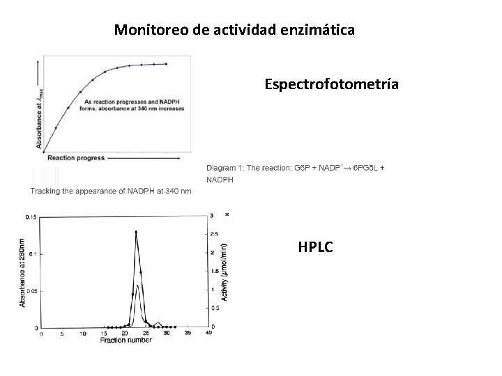 Monitoreo de actividad enzimática Espectrofotometría HPLC 