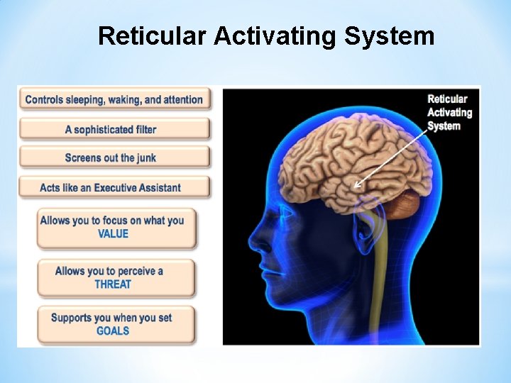Reticular Activating System 
