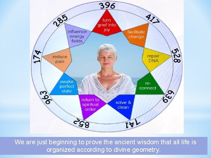  We are just beginning to prove the ancient wisdom that all life is