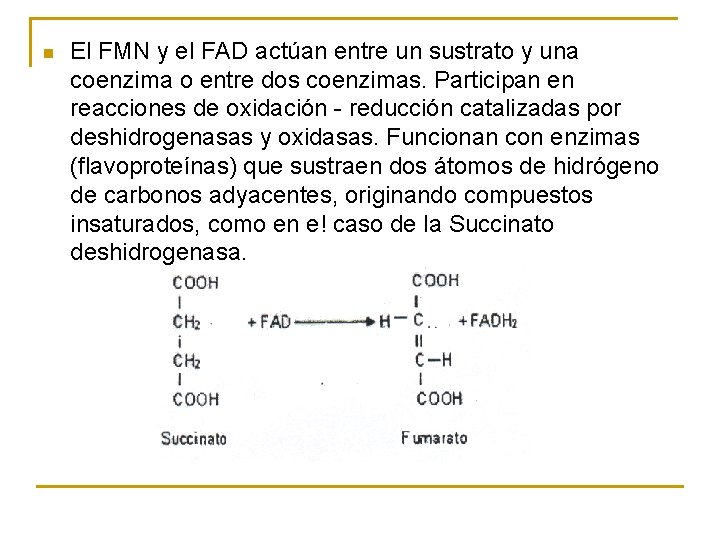 n El FMN y el FAD actúan entre un sustrato y una coenzima o