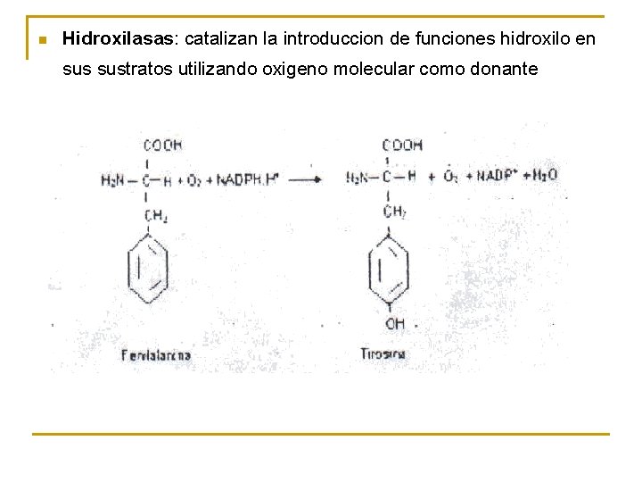 n Hidroxilasas: catalizan la introduccion de funciones hidroxilo en sustratos utilizando oxigeno molecular como