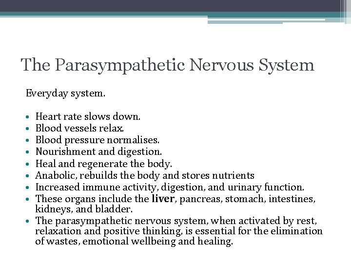 The Parasympathetic Nervous System Everyday system. Heart rate slows down. Blood vessels relax. Blood The Parasympathetic Nervous System Everyday system. Heart rate slows down. Blood vessels relax. Blood