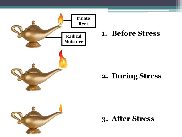 Innate Heat Radical Moisture 1. Before Stress 2. During Stress 3. After Stress Innate Heat Radical Moisture 1. Before Stress 2. During Stress 3. After Stress