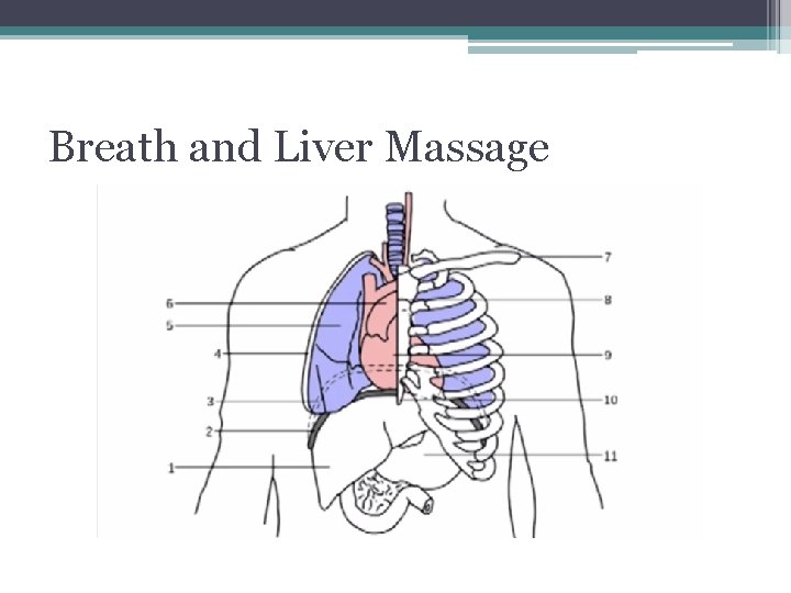 Breath and Liver Massage Breath and Liver Massage